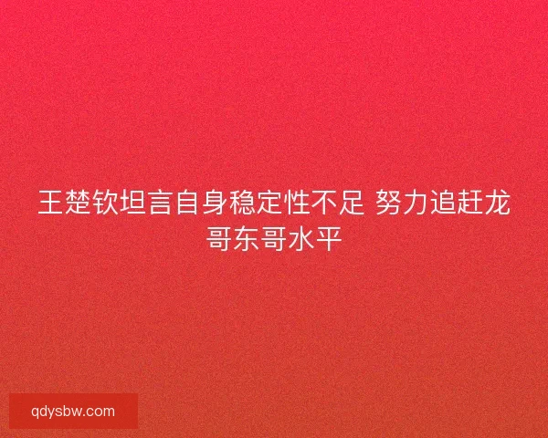 王楚钦坦言自身稳定性不足 努力追赶龙哥东哥水平